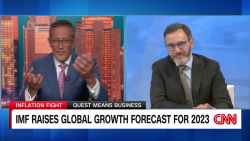 exp imf world economic growth Gourinchas live 072503PSEG1 cnni business_00002001.png