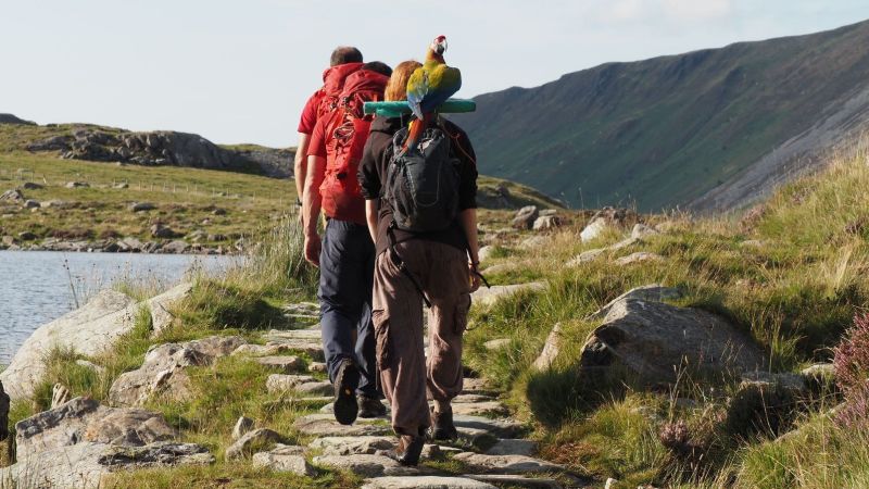 NextImg:Woman rescued from mountain after trying to find scared pet parrot | CNN