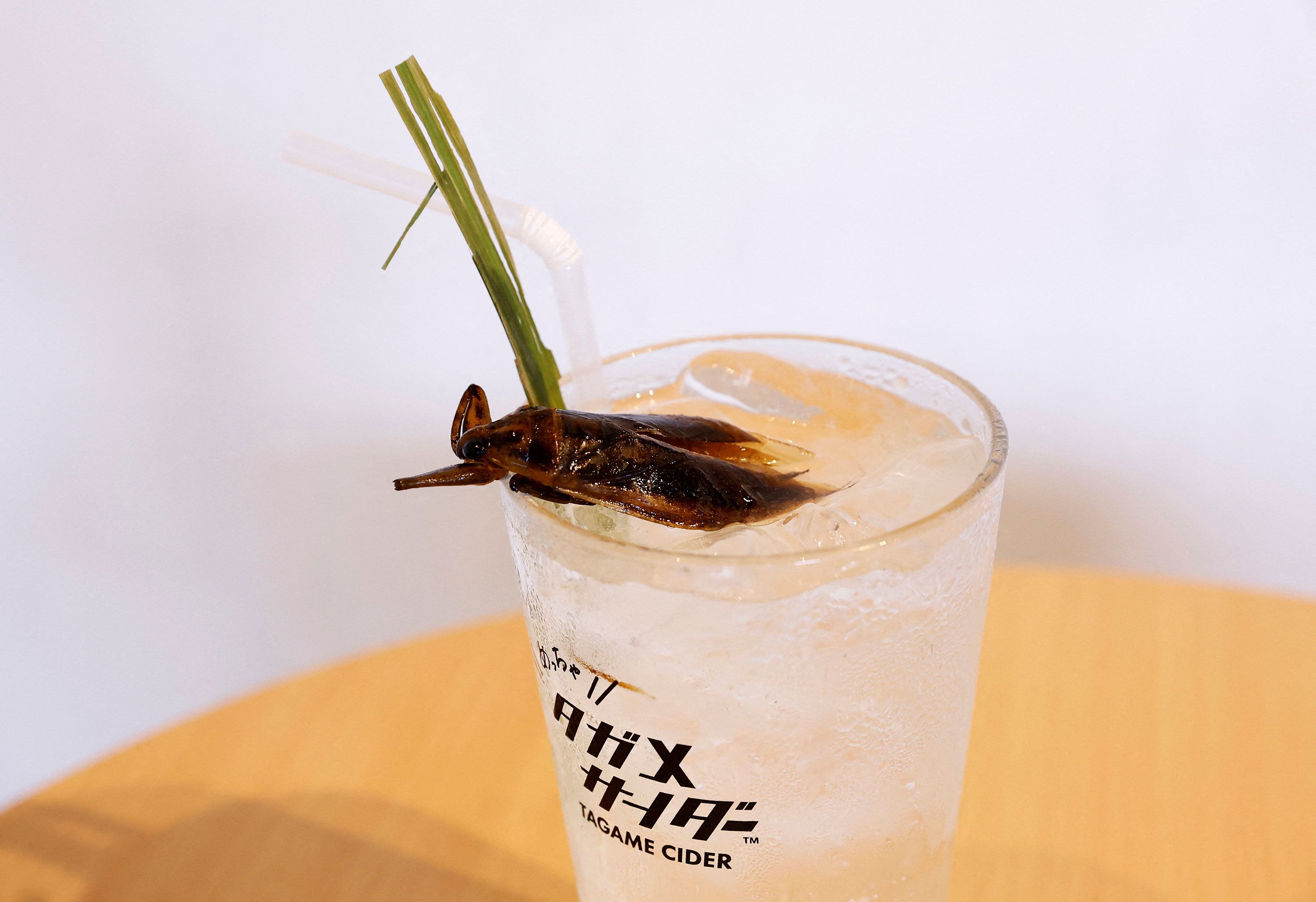 Tagame Cider, a carbonated drink made with the extract of giant water bugs and garnished with a dried version of the insect, is pictured at Take-Noko cafe in Tokyo, Japan, July 21, 2023. REUTERS/Kim Kyung-Hoon