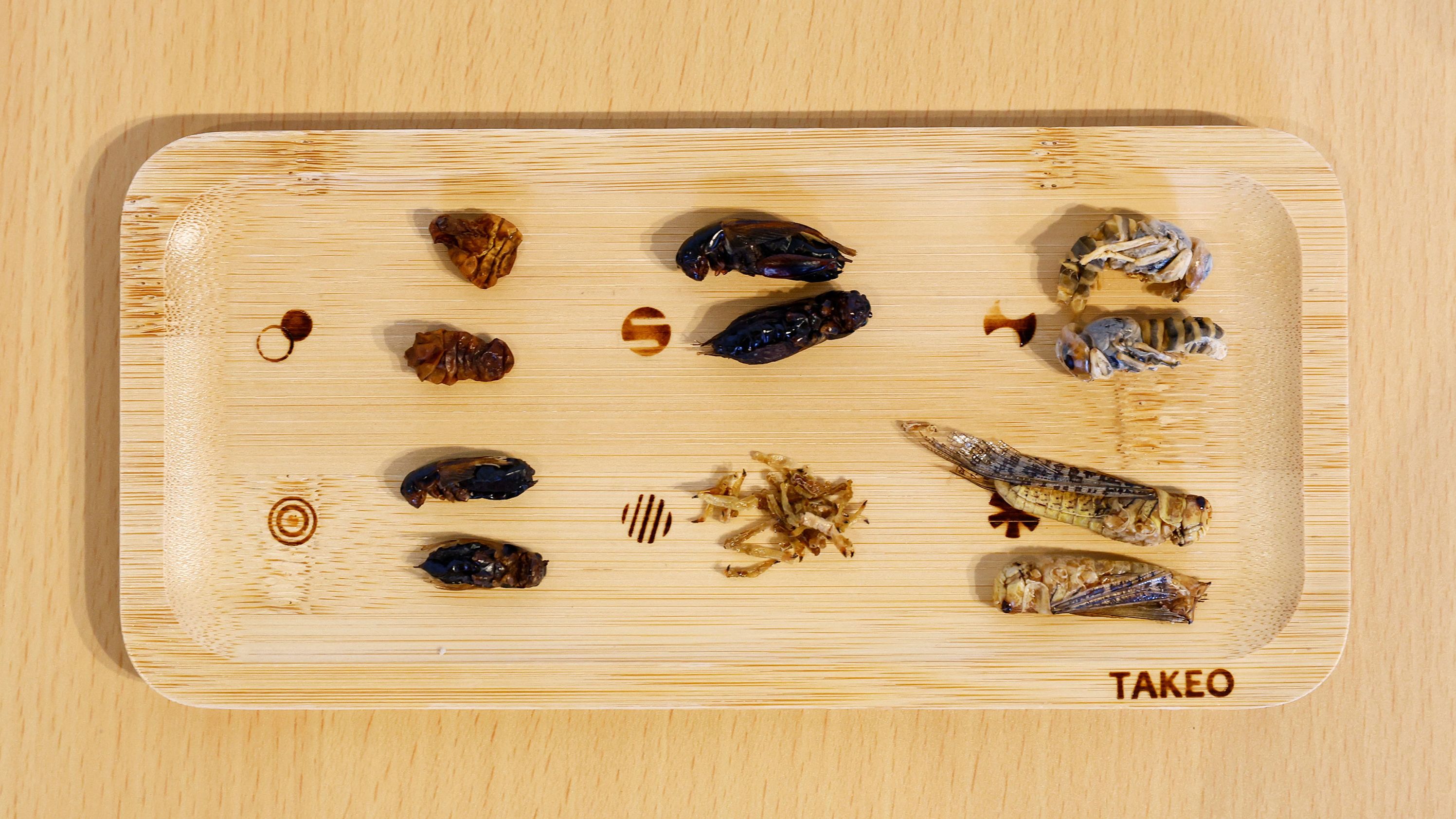 Tokyo’s insect restaurant brings water bug cider to the table | CNN