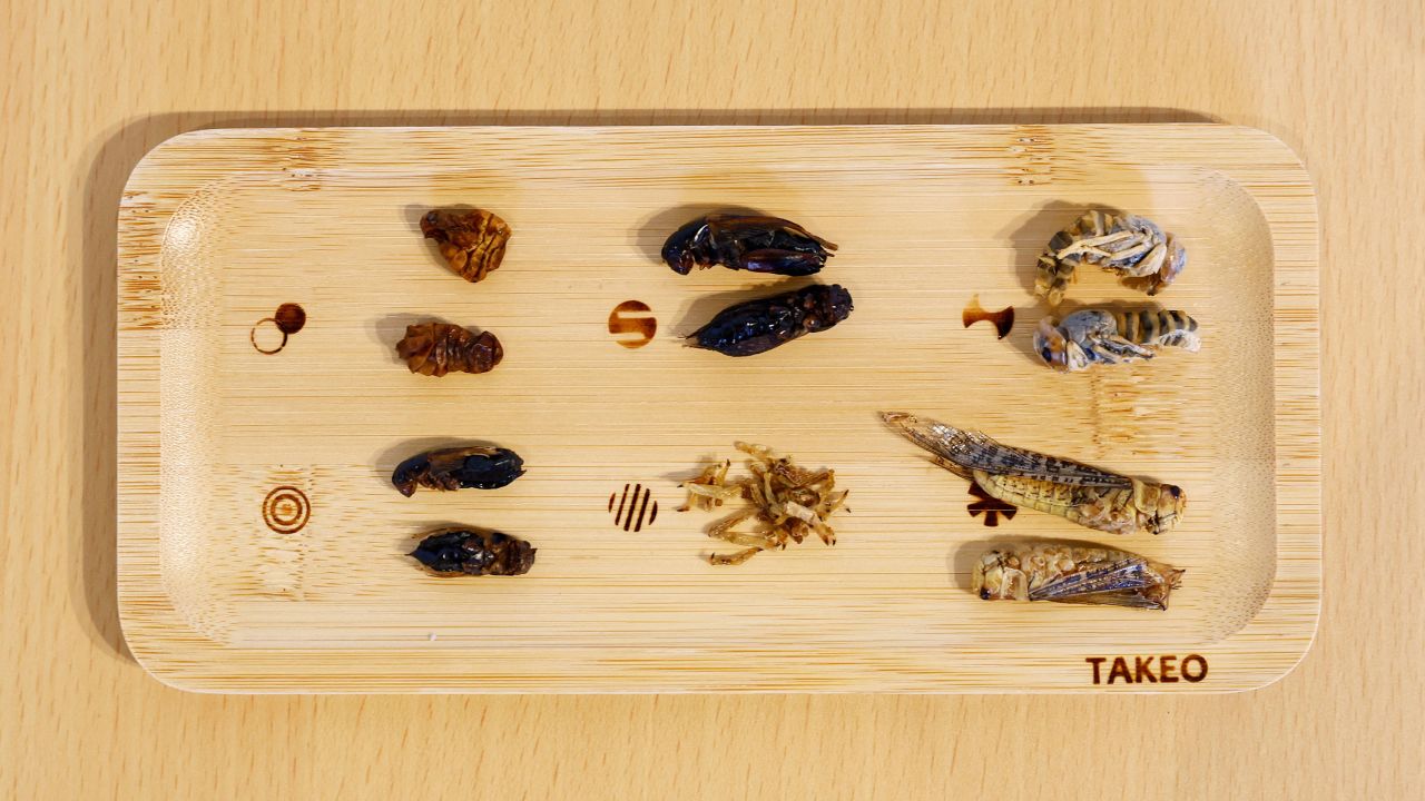 Various insects on a plate are pictured at Take-Noko cafe in Tokyo, Japan, July 21, 2023. REUTERS/Kim Kyung-Hoon