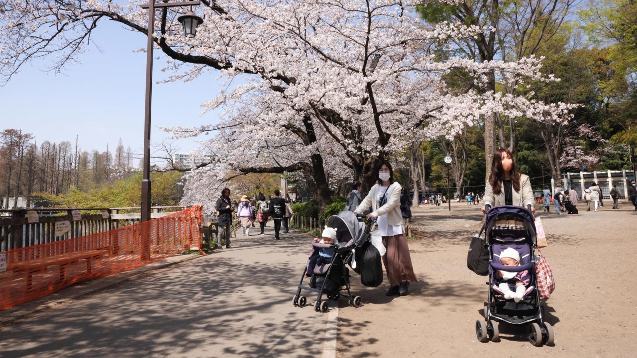 遊客推著嬰兒車穿過日本東京井之頭公園。