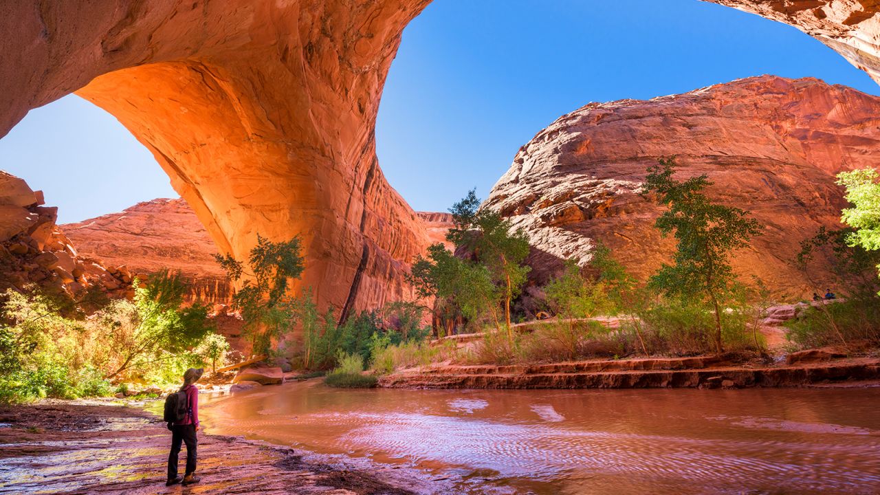 us-national-parks-are-crowded-and-so-are-many-national-forests