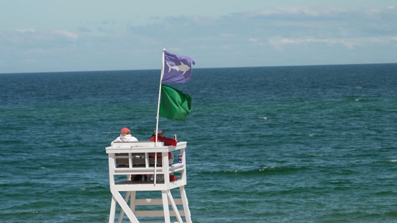 The purple flag on the lifeguard tower warns the public of dangerous marine life in the water