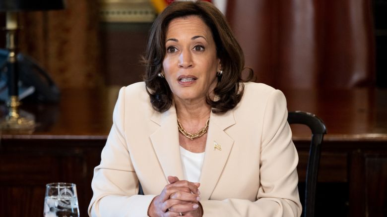 US Vice President Kamala Harris speaks during a meeting with State Attorneys General in the Eisenhower Executive Office building, next to the White House, in Washington, DC, on July 18, 2023. The meeting is being held to discuss possible actions to address the fentanyl public health crisis. (Photo by SAUL LOEB / AFP)