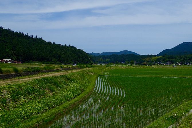 <strong>Oki Islands:</strong> Farmers still work here among the remnants of 500-year-old stone walls.