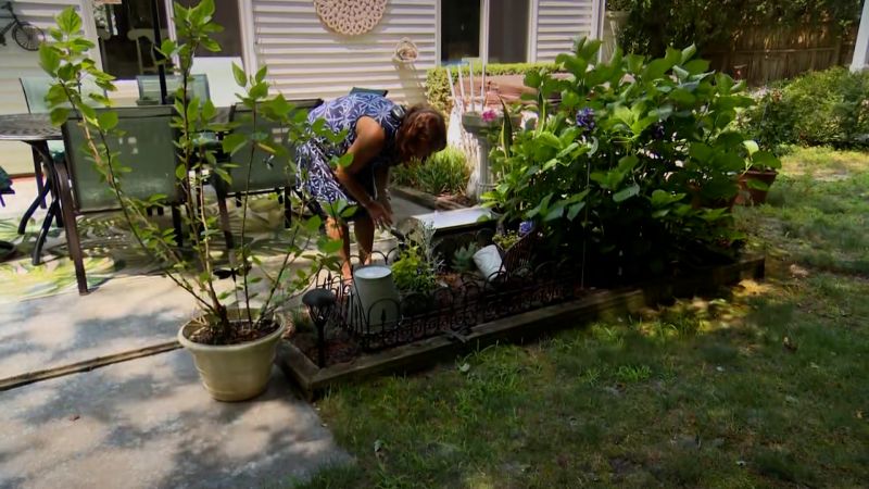 How gardening led this New Jersey woman to mysterious meat allergy | CNN