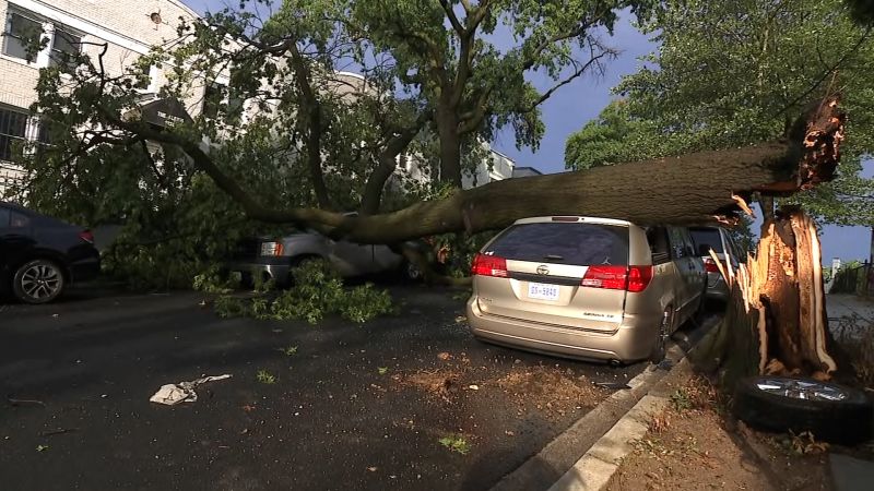 Thunderstorms cause damage in DC area | CNN