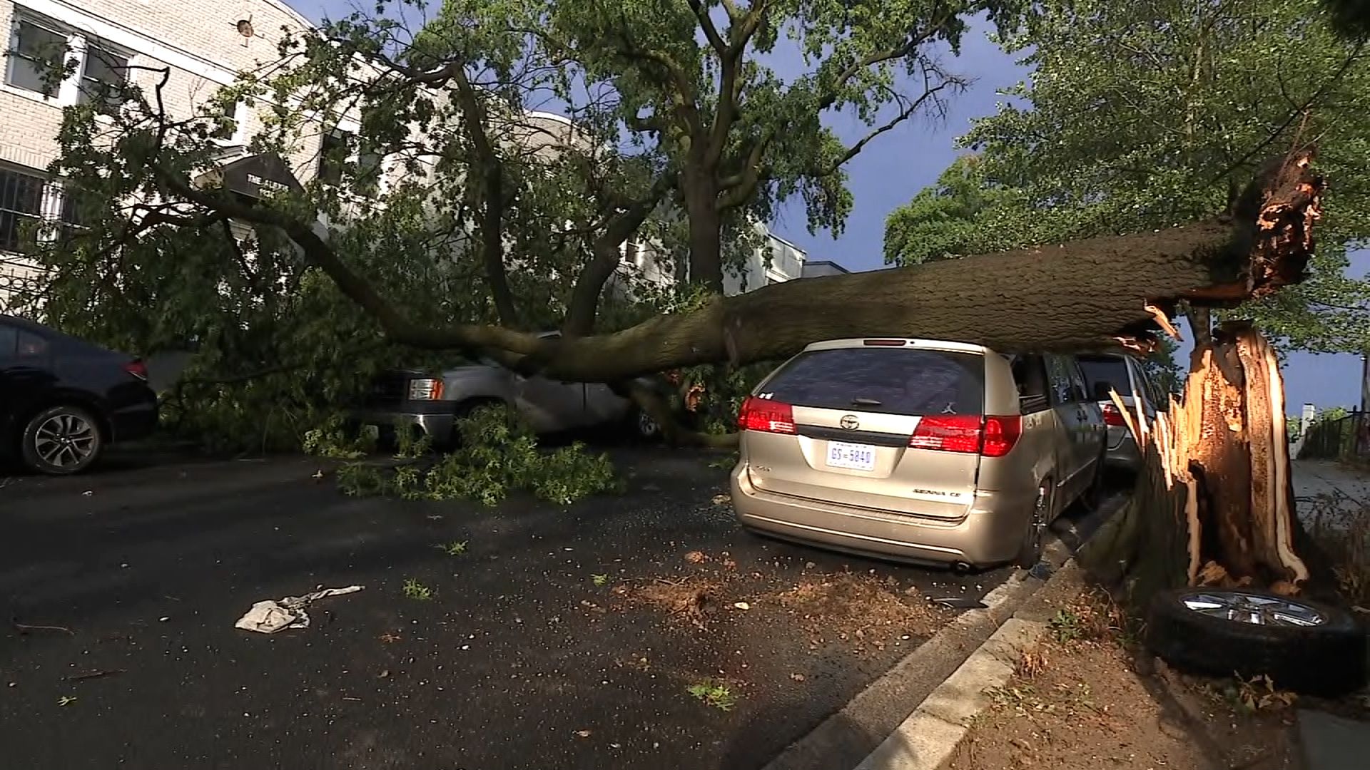 Thunderstorms cause damage in DC area