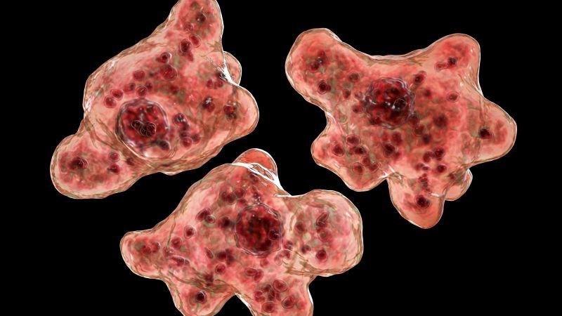 Georgia resident dies of Naegleria fowleri, brain-eating amoeba infection