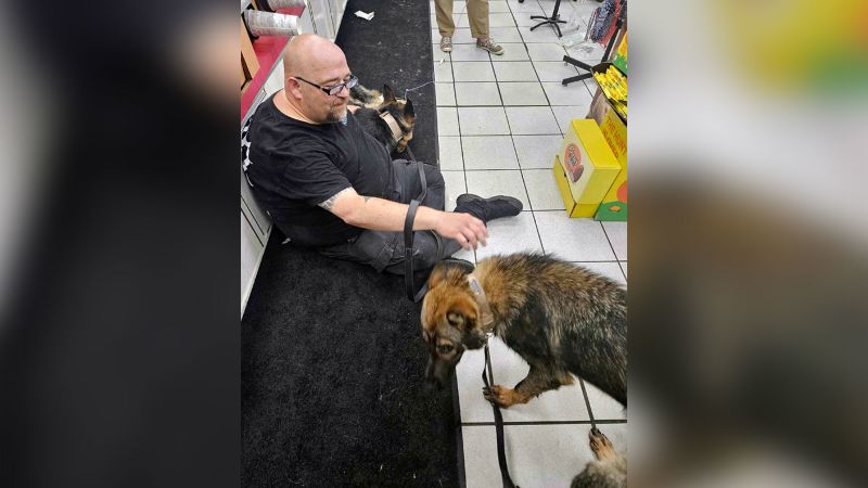 Dogs Die in Tragic Incident with Failed Air Conditioning During Transportation to Police K-9 Training Facility in Indiana