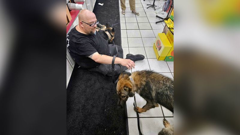 Multiple police dogs died from heat-related illness in Indiana after an air conditioning failure, authorities say | CNN