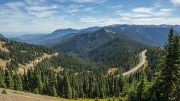 View from a hiking trail on Hurricane Ridge of the Hurricane Hill Road on the Olympic Peninsula, Olympic National Park in Washington State, USA. 