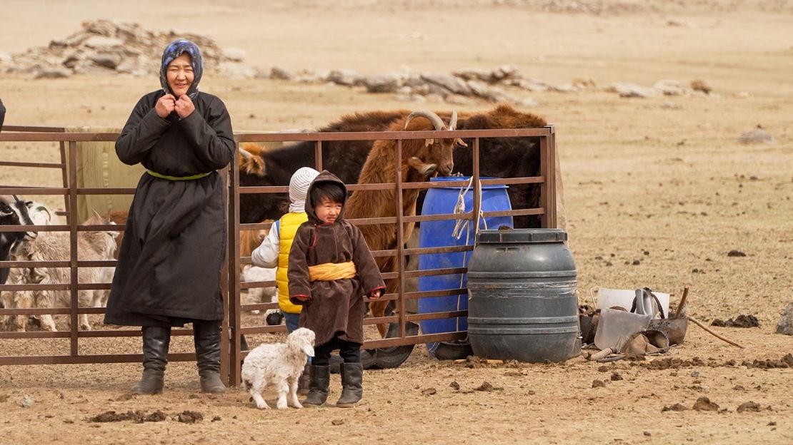 Bayarduuren Zunduikhuu moves home each season looking for land for her herd of 500 animals, including the goats she relies on for cashmere.