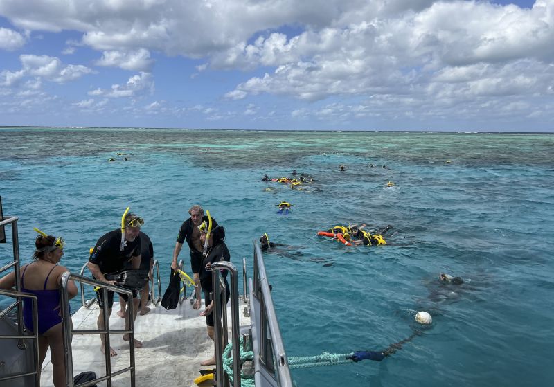 Great Barrier Reef Stays Off UNESCO 'in Danger' List But Hot El Niño ...