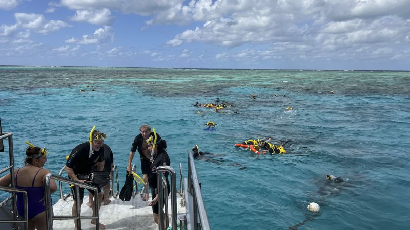 Големият бариерен риф остава извън списъка на ЮНЕСКО като „застрашен“, но горещото лято на Ел Ниньо се задава