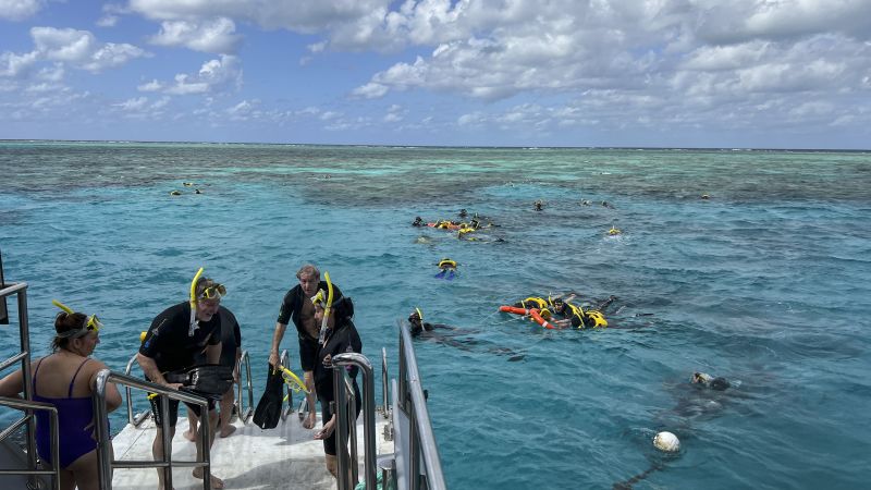 NextImg:Great Barrier Reef stays off UNESCO 'in danger' list but hot El Niño summer looms | CNN