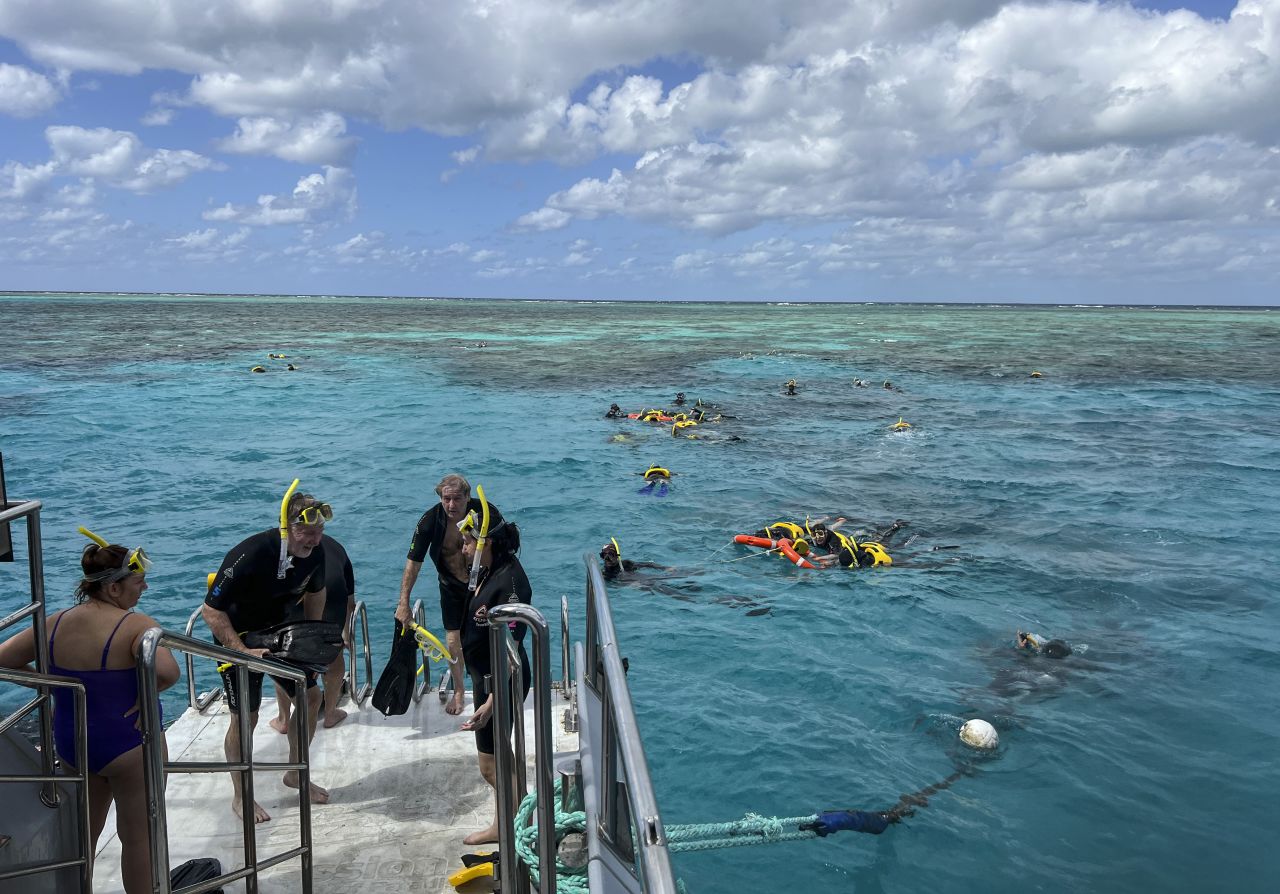  Туристи, водолази и морски биолози влизат и излизат от водите на Големия бариерен риф на 10 август 2022 г. на риф Хейстингс, Австралия. 