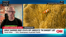 exp great barrier reef unesco ritter greenpeace church intv 080202ASEG3 cnni world_00003912.png