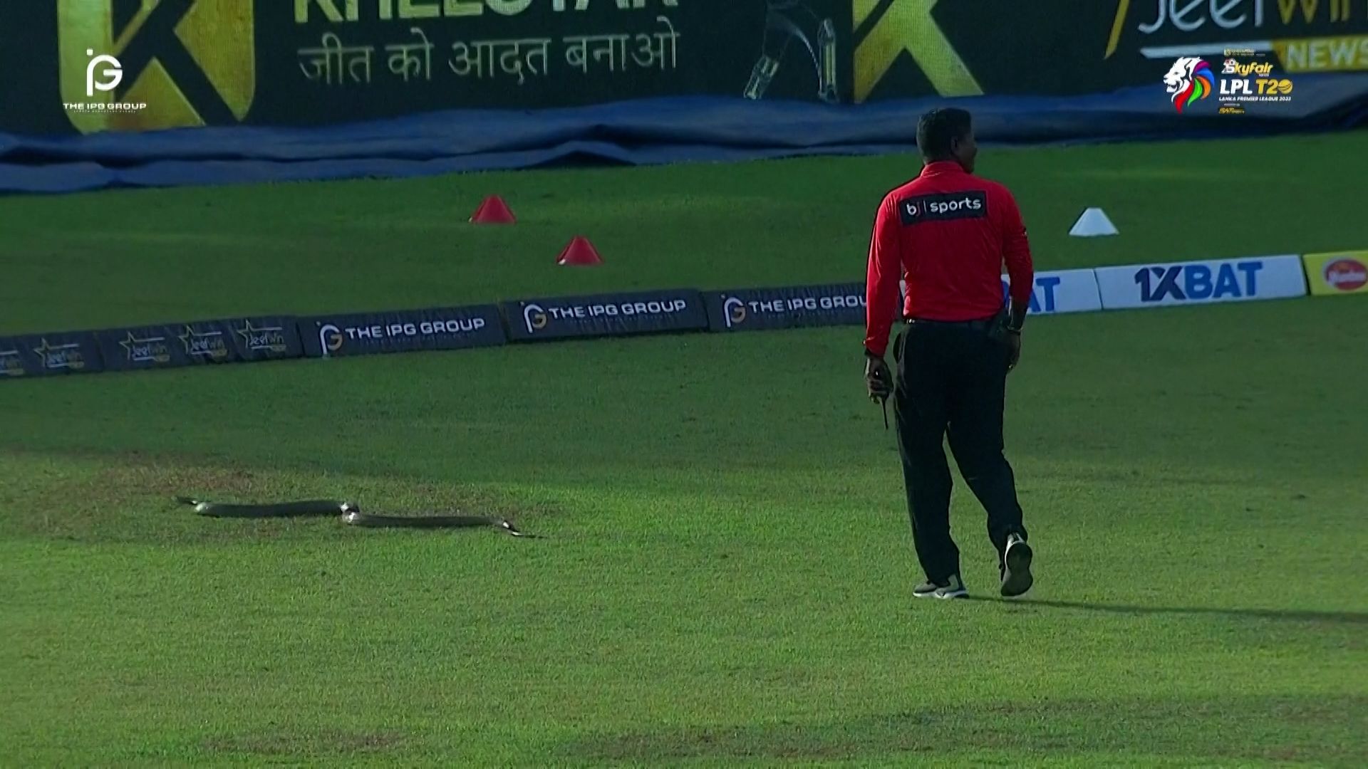 Snake halts play during Sri Lanka cricket match