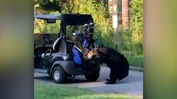 Golf Club Bear 1