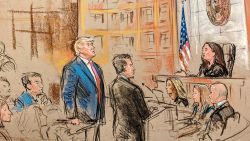 Court sketch of moment Donald Trump plead "not guilty"