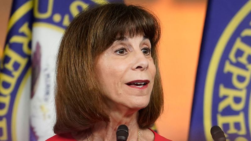 NextImg:North Carolina congresswoman suffered broken bones in 'serious car accident' | CNN Politics