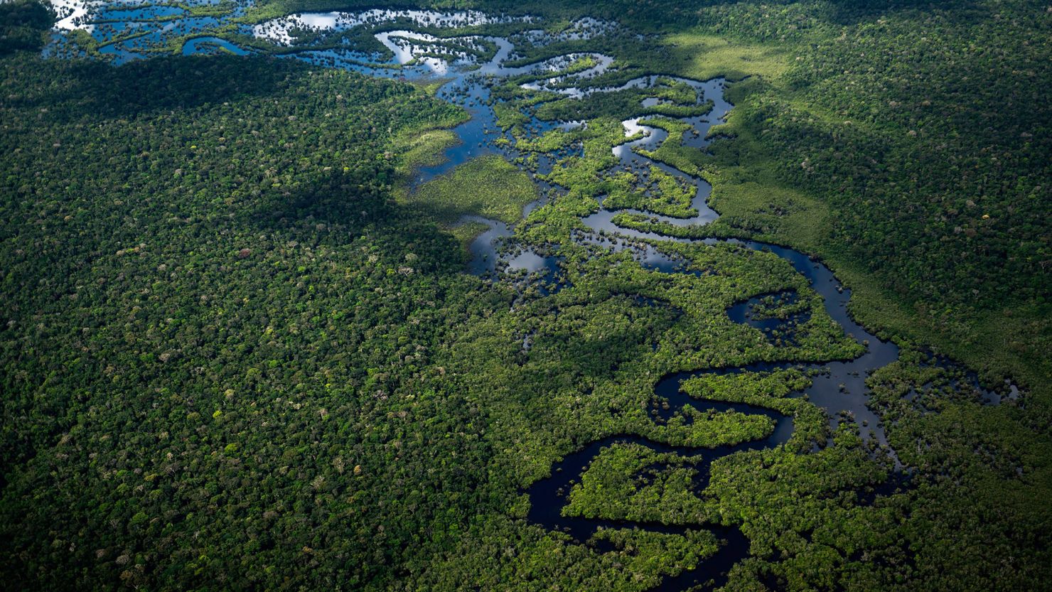 The Amazon rainforest in Amazonas State, Brazil, on June 10, 2022. Levels of deforestation dropped sharply in June.