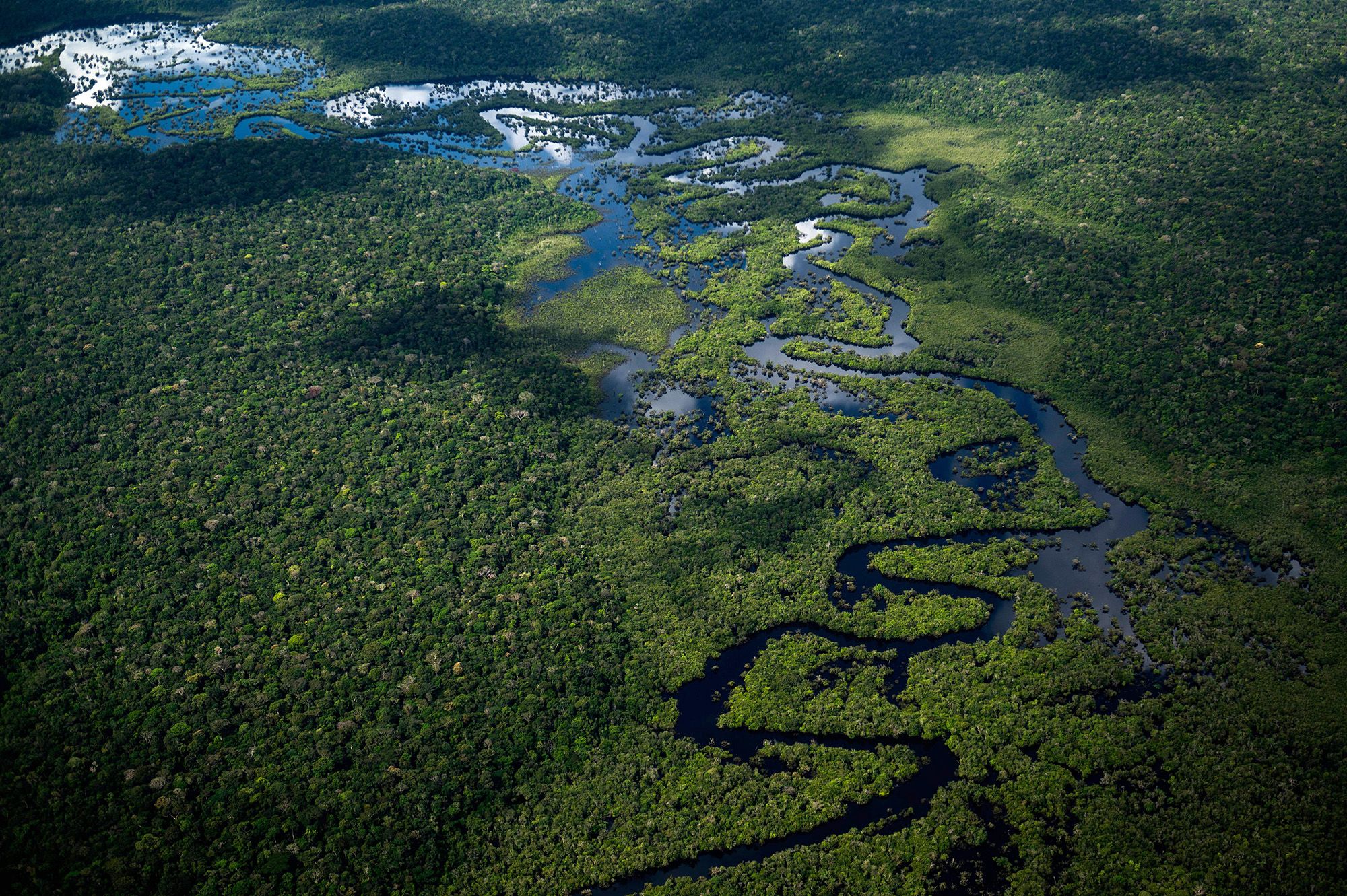 Brazil: deforestation in the  increased 29% over last year