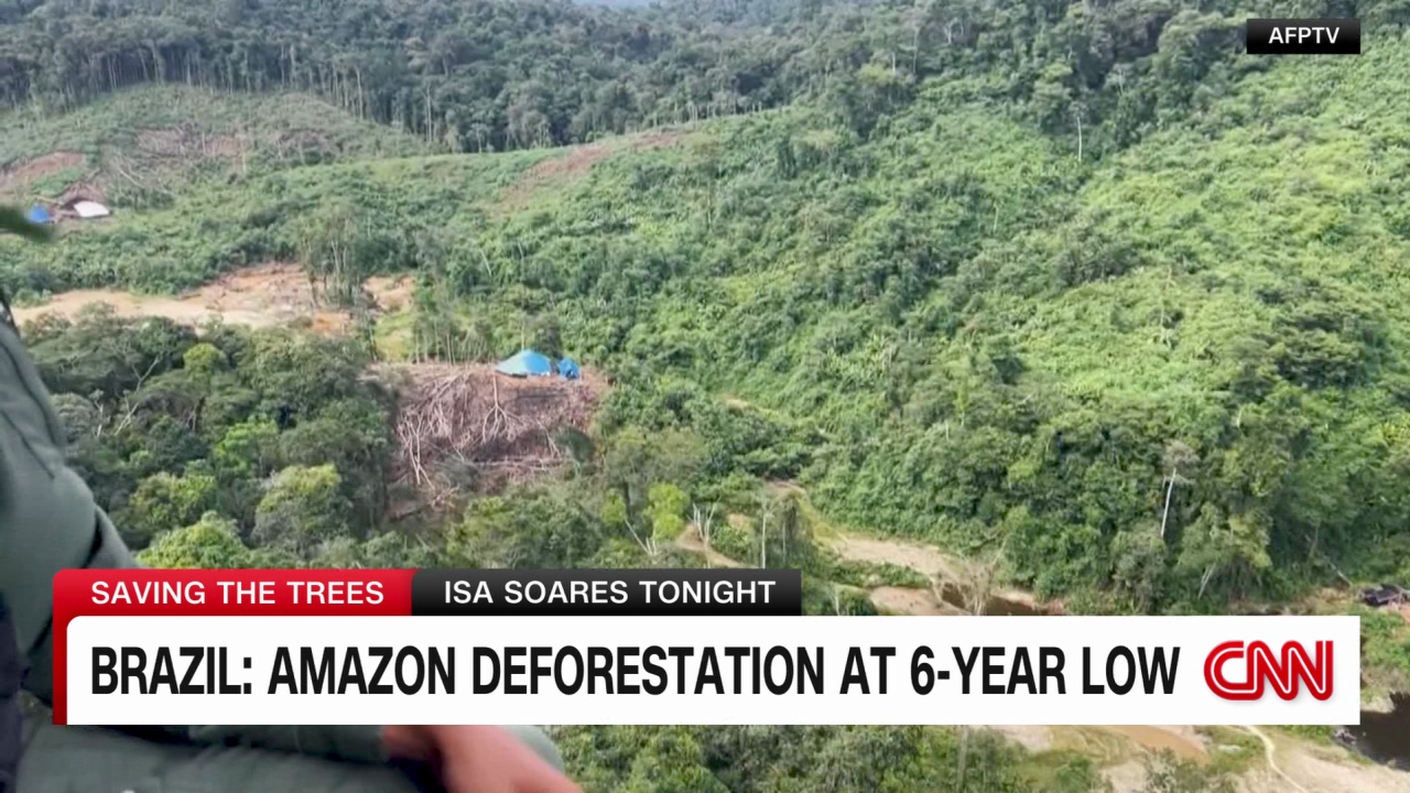 exp amazon deforestation cotovio pkg 080402PSEG2 cnni world_00004120.png