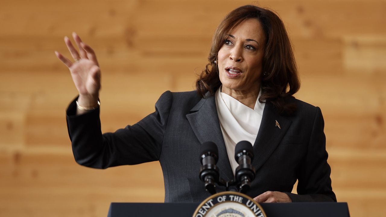 Vice President Kamala Harris delivers remarks while visiting Sycamore & Oak, a minority-owned retail village that houses other local small businesses, on August 4, 2023 in Washington, DC. 
