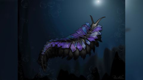 Reconstruction of Shaihuludia shurikeni from the Spence Shale of Utah. Artistic reconstruction of an adult specimen by Rhiannon LaVine.