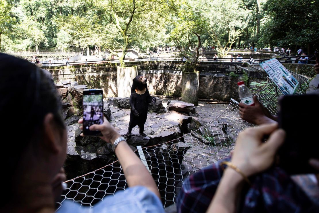 The Bear: Year's best TV show is finally coming to Australia