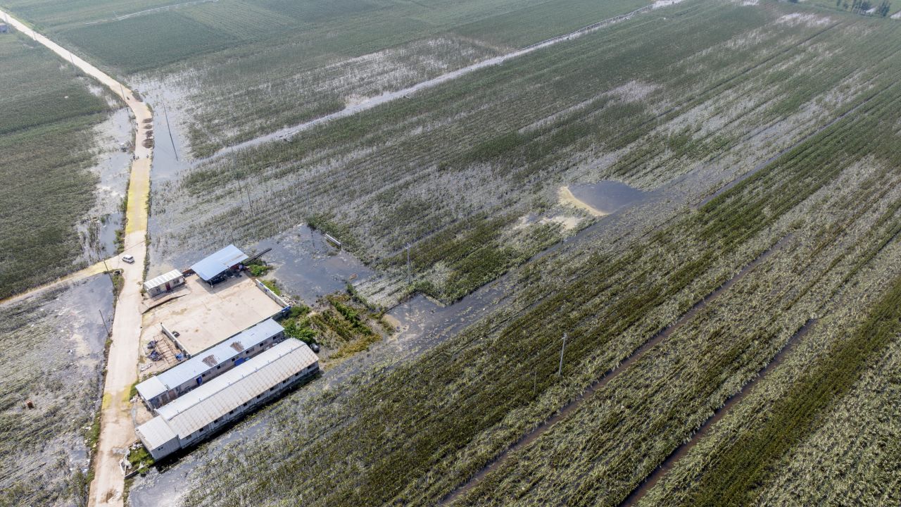 A flooded farm in Xinxiang city, Henan province on August 5.