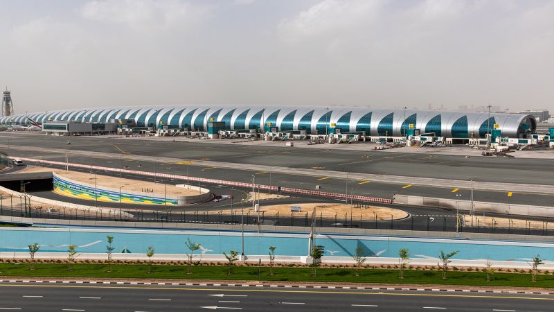 NextImg:Escaped bear delays flight in Dubai | CNN