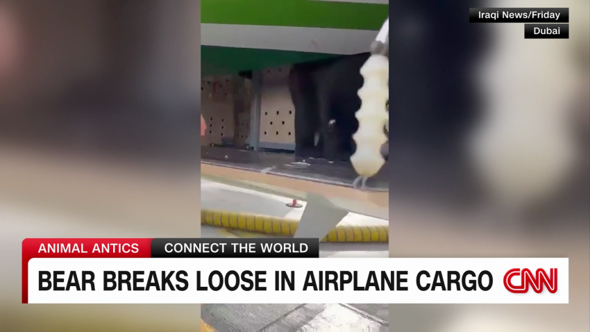 exp bear plane escape tell 080711ASEG3 cnni world _00002001.png