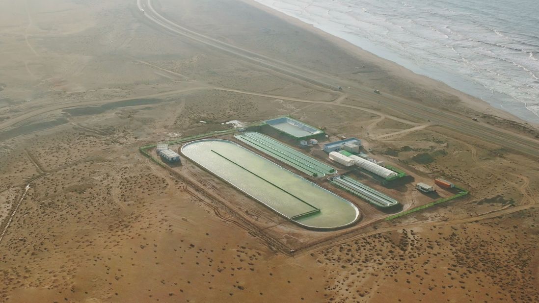 Brilliant Planet's pilot site in Akhfenir, Morocco, is cultivating microalgae to capture and sequester carbon dioxide. Removing carbon dioxide from the atmosphere has been proposed as a necessary step to curb global heating in the 21st century -- and there's plenty of ways to do it<strong><em>. To learn more about the different approaches to this vital new sector, scroll through the galler</em></strong>y.