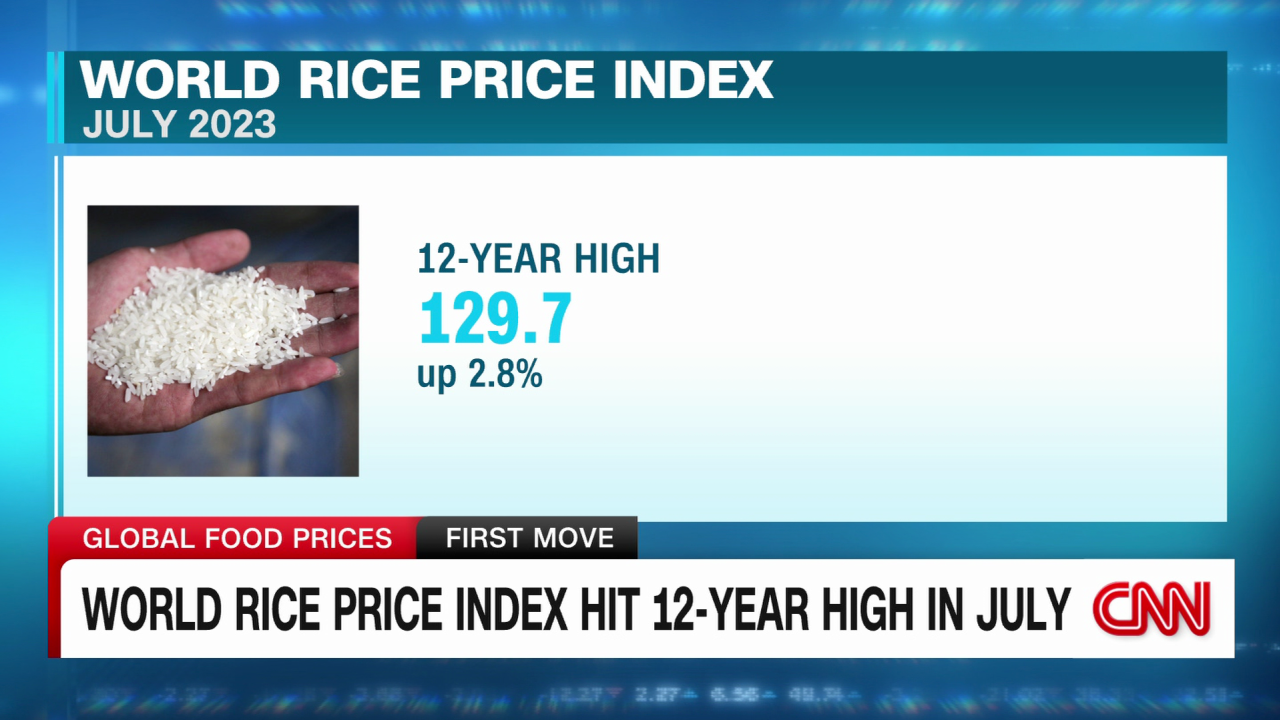 exp food prices mercy corps intv FST 080809ASEG3 cnni business_00001601.png