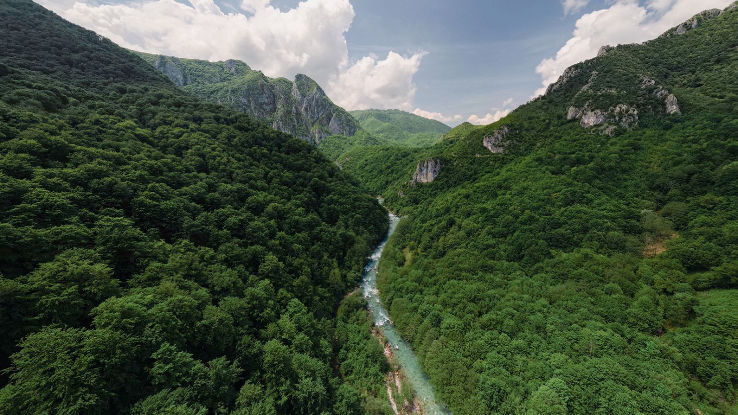 The Neretva River flows through densely forested gorges in central Bosnia and Herzegovina.