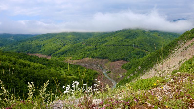 This could be under threat. According to the Center of Environment, a Bosnian NGO, more than 50 hydropower plants are proposed along the river's length, including the untouched upper stretches. Here, at the Ulog dam site, forest has been cut away from the banks of the river, to make way for a future reservoir.