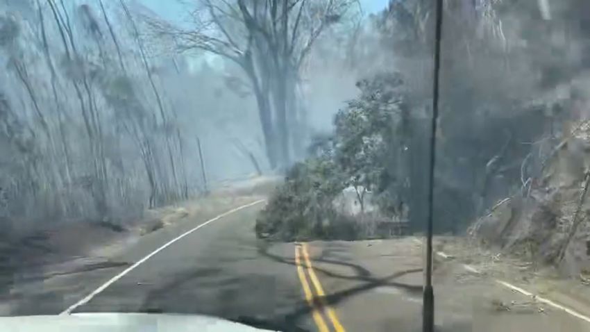 County of Maui wildfires