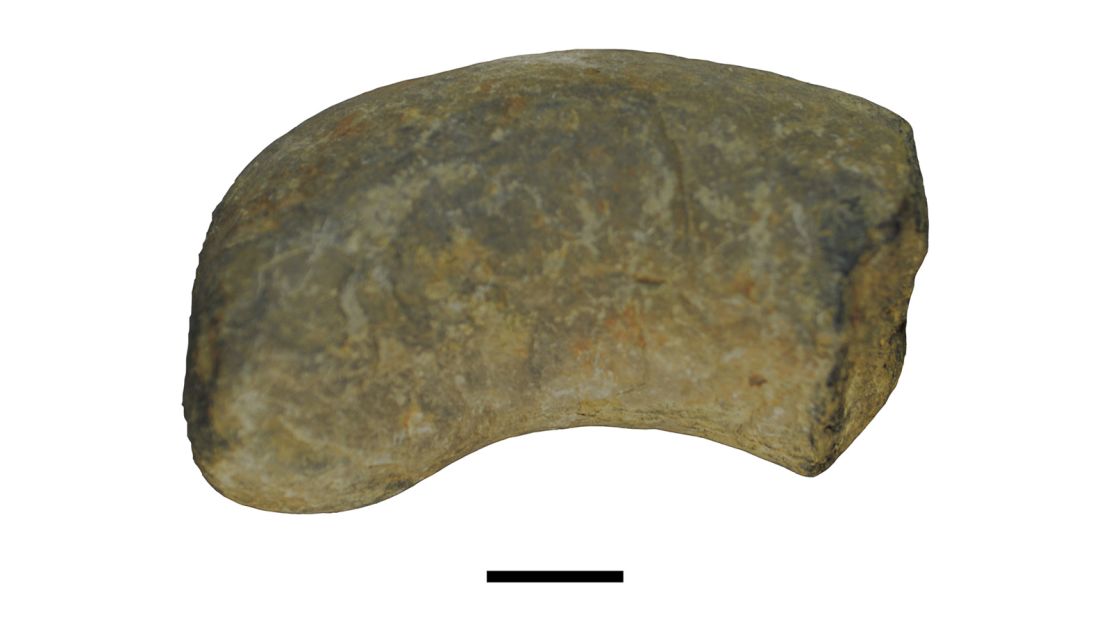 Scientists collected the coprolite in 2010 from the Huai Nam Aun outcrop in northeastern Thailand.