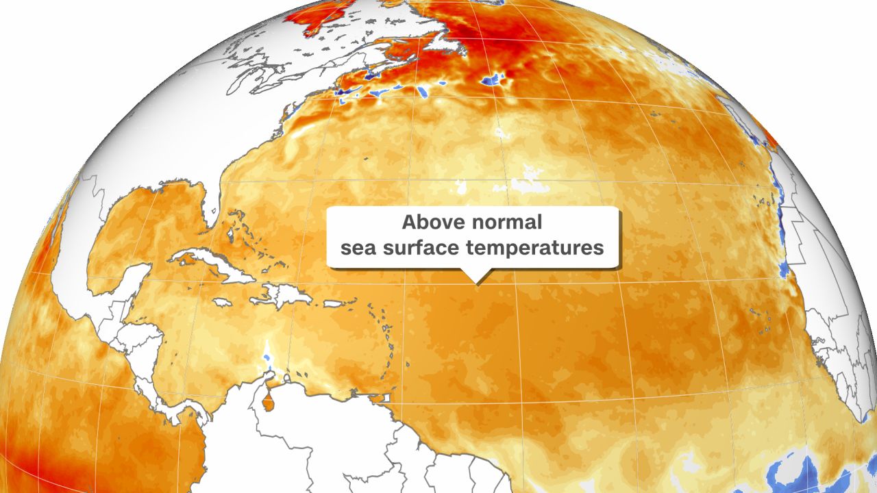 Esto muestra dónde las temperaturas de la superficie del mar son inusualmente cálidas.  Los naranjas y los rojos indican anomalías más altas. 