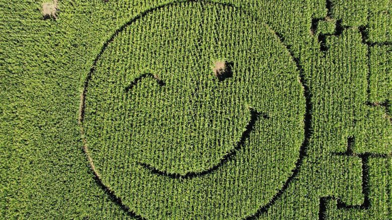 A farmer mowed a smiley into his corn field near Dortmund, Germany, Thursday, Aug. 10, 2023. After days of heavy rain, the summer weather is returning to Germany, long awaited for the grain harvest. (AP Photo/Martin Meissner)