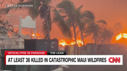 The Lead / Veronica Miracle / Hawaii wildfires / Jake Tapper LIVE_00012802.png