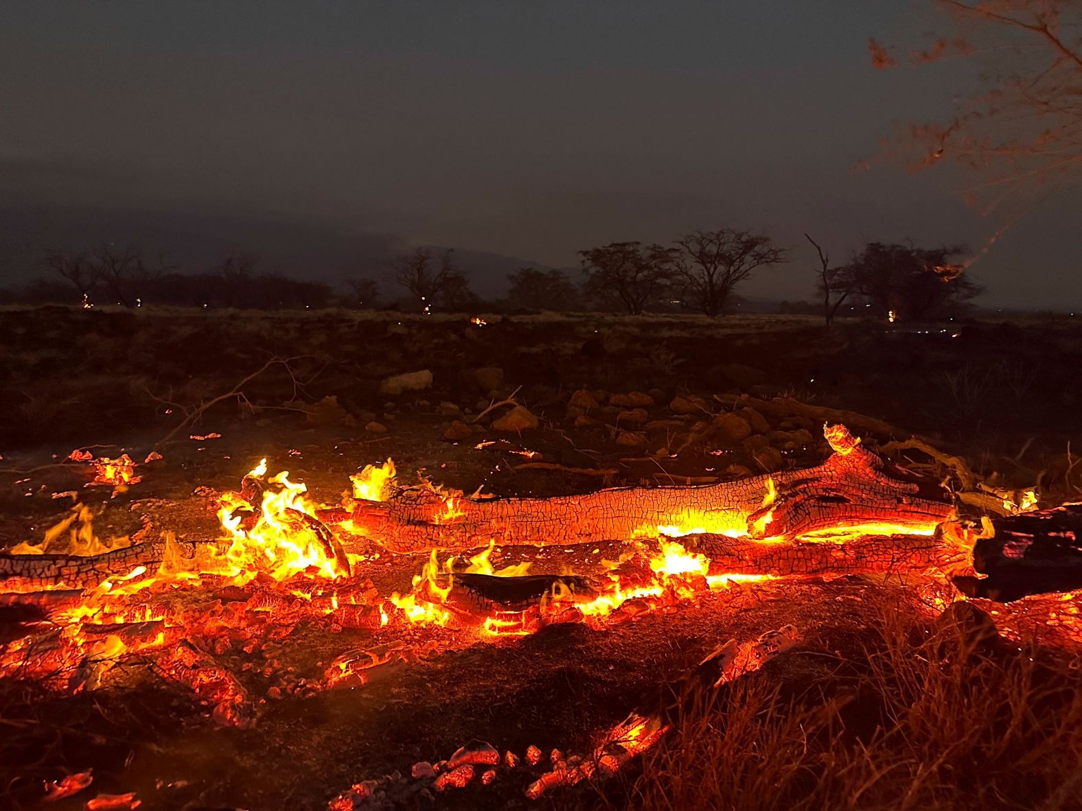 A wildfire burns in Kihei on August 9.