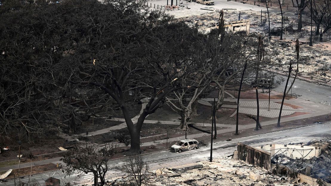 An aerial image shows the historic banyan tree surrounded by burned cars in Lahaina following the wildfires in western Maui