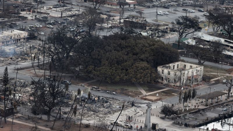 Lahaina's Historic 150-year-old Banyan Tree Was Badly Scorched By ...