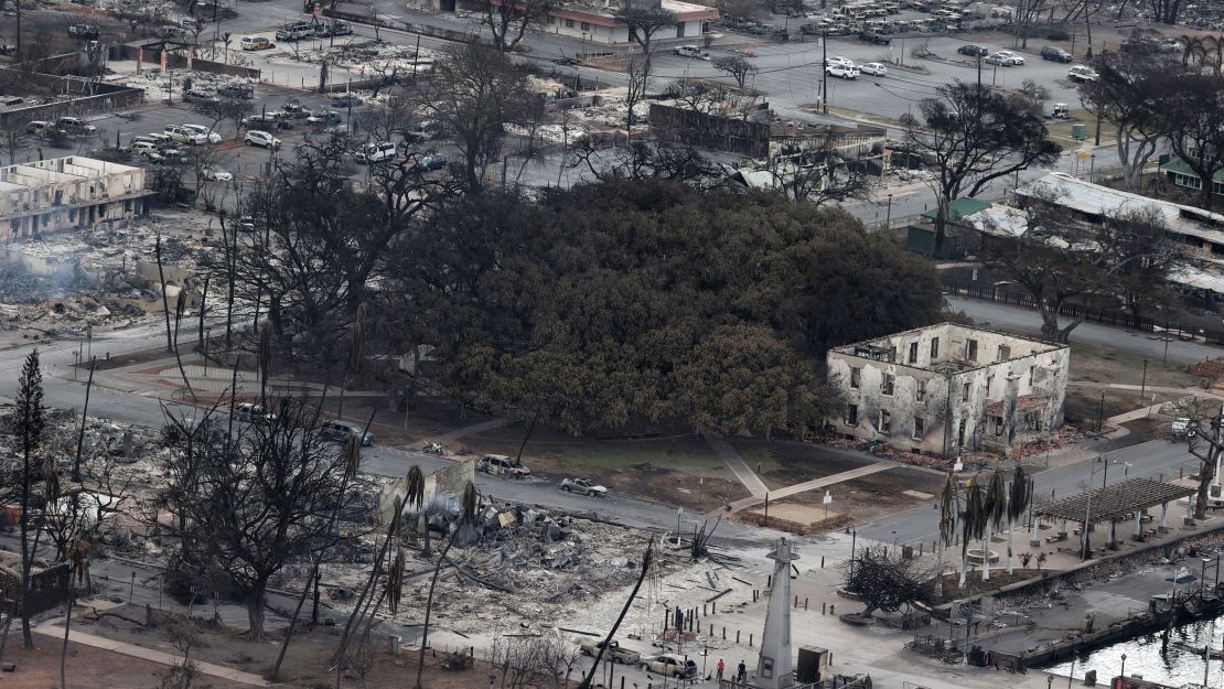 The 150-year-old banyan tree, as seen amid the ruins of the wildfires