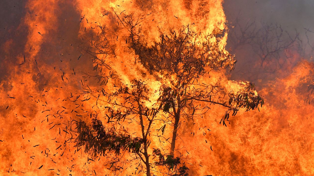 Un incendio forestal fuera de control que comenzó a lo largo de una importante carretera central de Maui arde el jueves 11 de julio de 2019 en Maui, Hawái.
